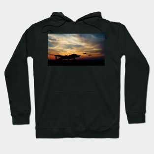 Warbird Silhouettes Hoodie